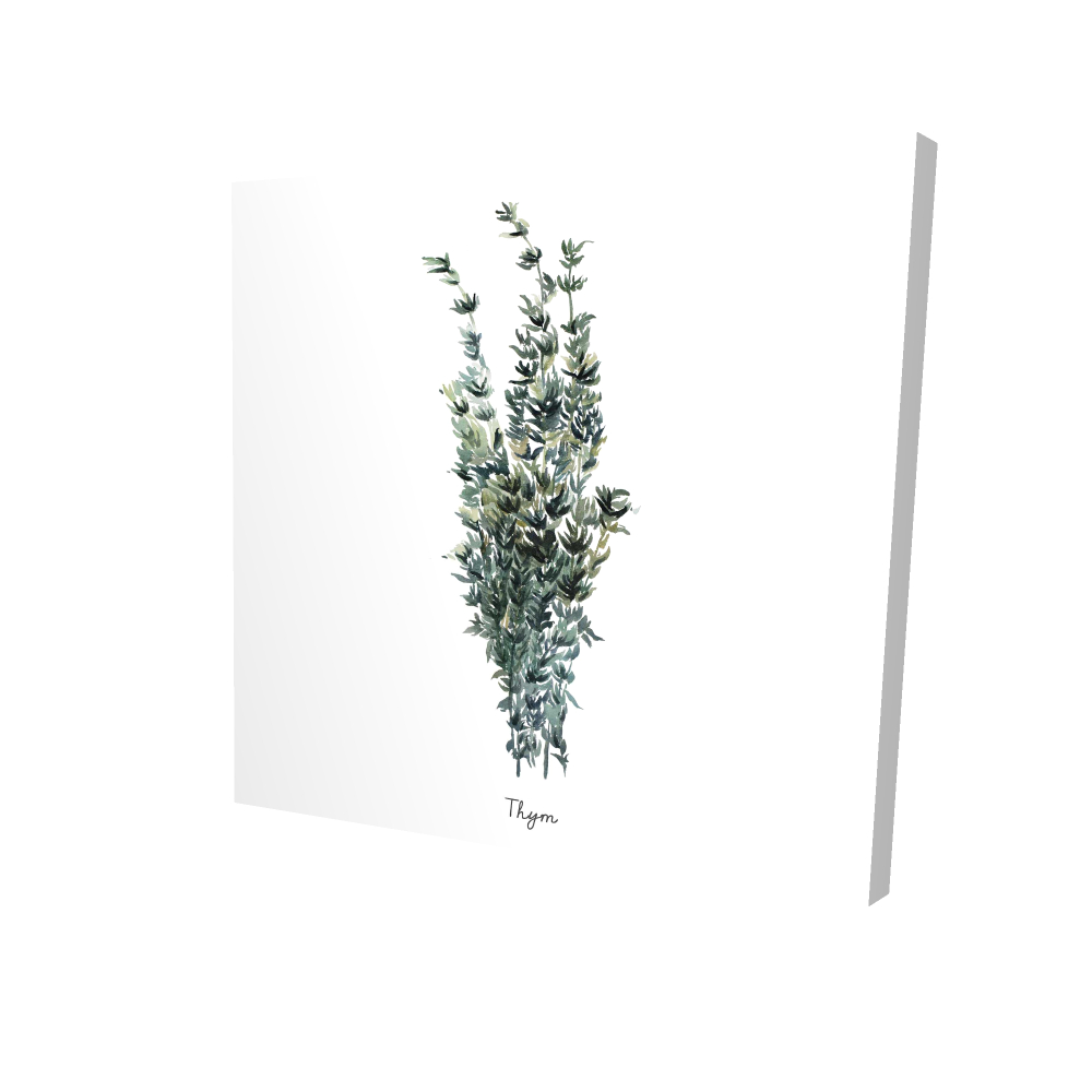 2080-2424-GA92-2 24 x 24 in. Thyme Leaves Bundle Illustrative Kitchen Canvas - Home Decor