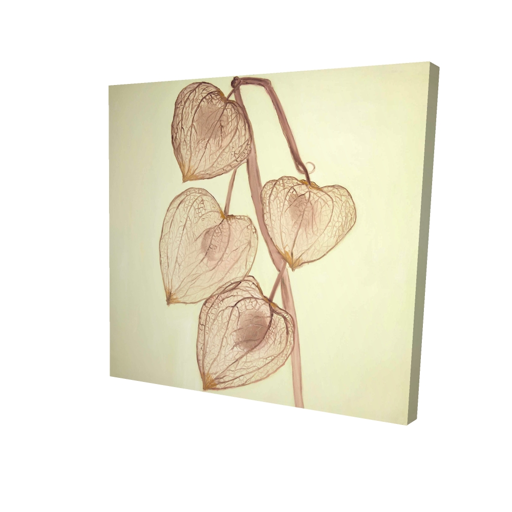 2080-2424-FL276 24 x 24 in. Brown Rustic Botanical Canvas - Growing Ground Cherries Art
