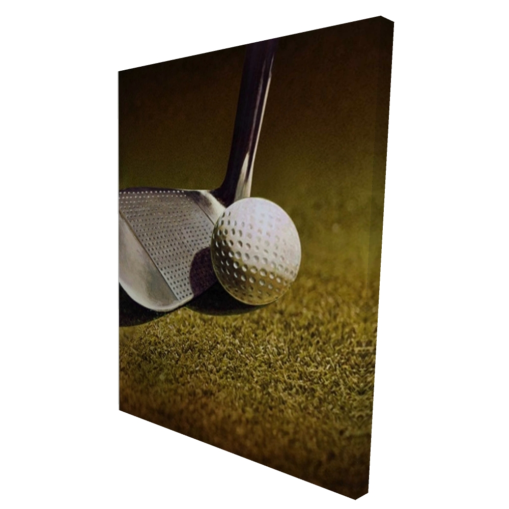 2080-4836-SP1 36 x 48 in. Golf Closeup Canvas - Man Cave Decor - White Hobbies Art
