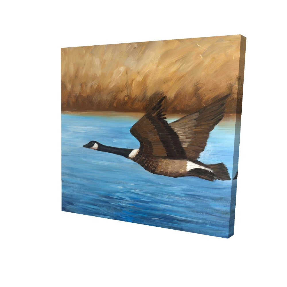 2080-2424-AN166 24 x 24 in. Blue Rustic Canada Goose Bedroom Canvas - Home Decor Art