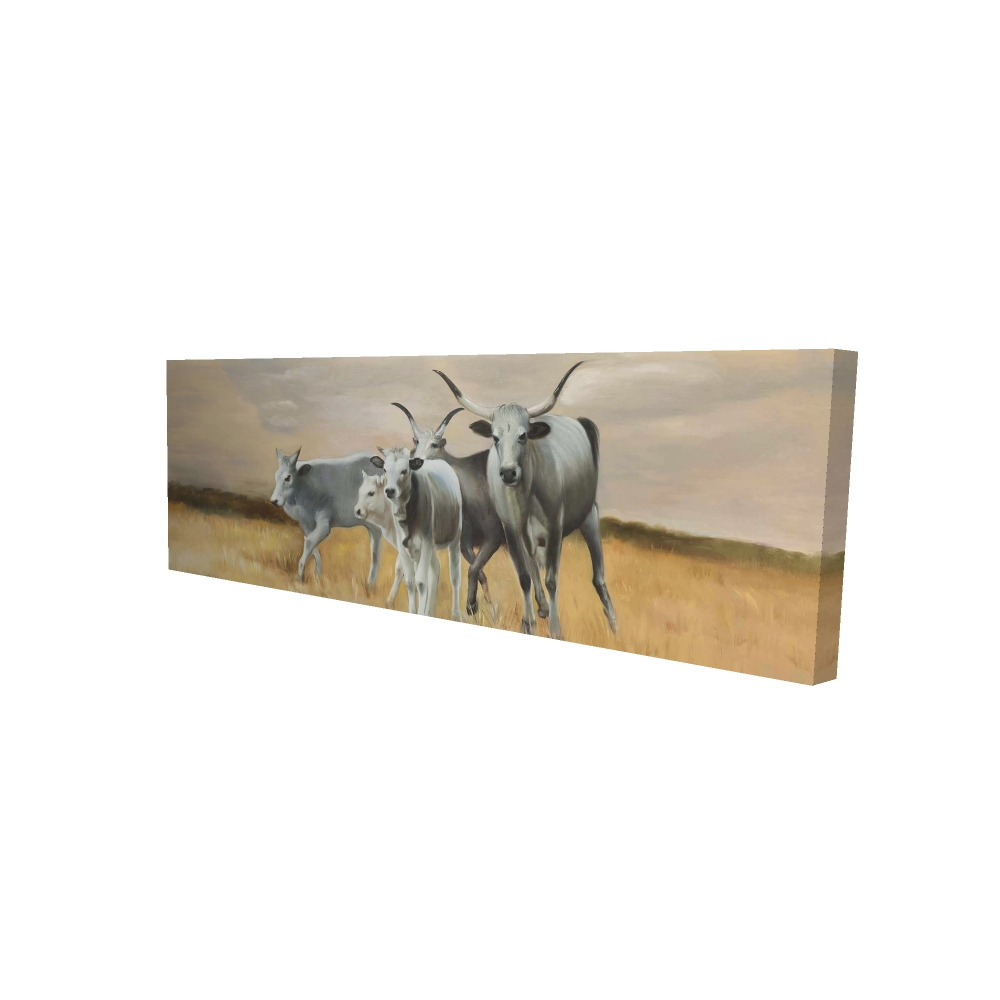 2080-1648-AN319 16 x 48 in. Rustic Nguni Breeding Farm Animals Canvas - Home Decor Art