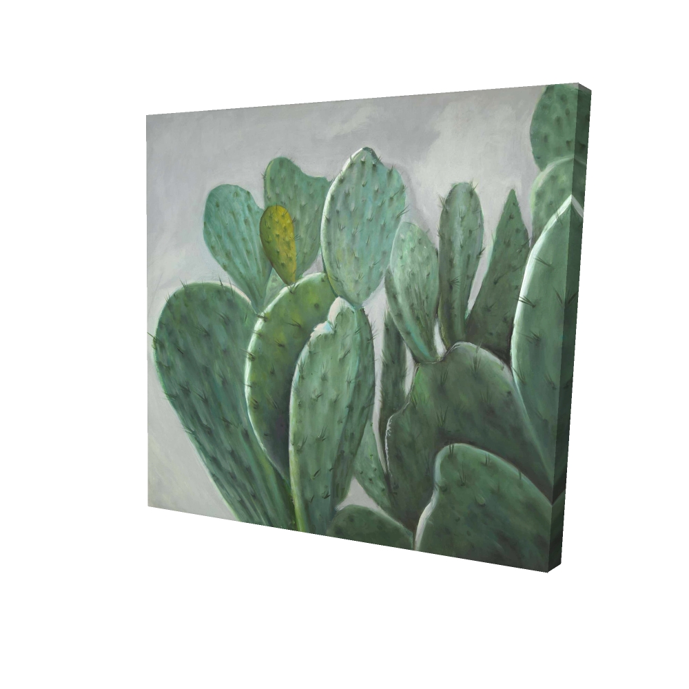 2080-2424-FL139 24 x 24 in. Paddle Cactus Exotic Botanical Canvas - Home Decor Wall Art