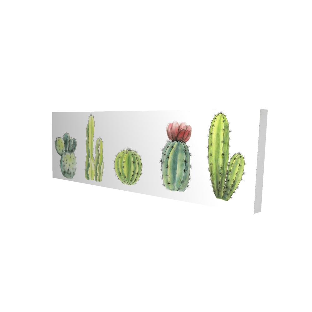 2080-1648-FL220 16 x 48 in. Tiny Cactus Set - Floral Botanical Green Canvas Home Decor