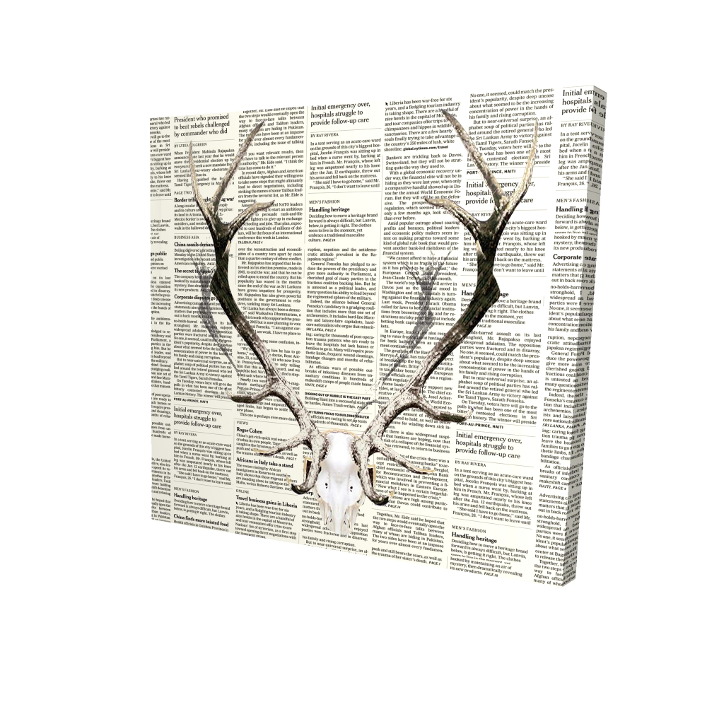 2080-2424-AN62 24 x 24 in. Rustic Brown Animals Canvas - Deer Horns on Sapper Decor