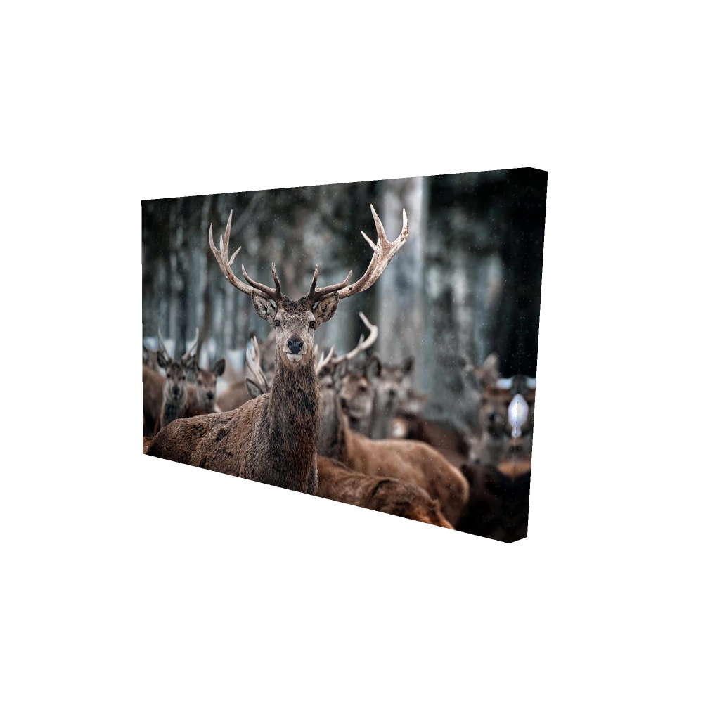 2080-2436-PH3 24 x 36 in. Brown Rustic Stags Canvas - Bedroom Wall Art - Home Decor