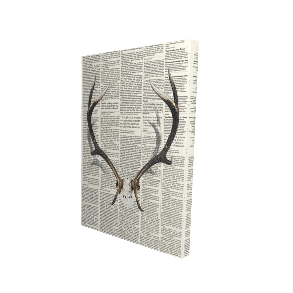 2080-3624-AN61 24 x 36 in. White Deer Canvas - Deer Horns with Sapper Home Decor