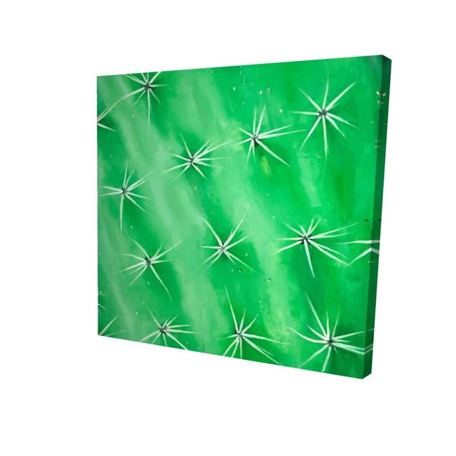 8 x 8 in. Cactus Closeup-Print on Canvas