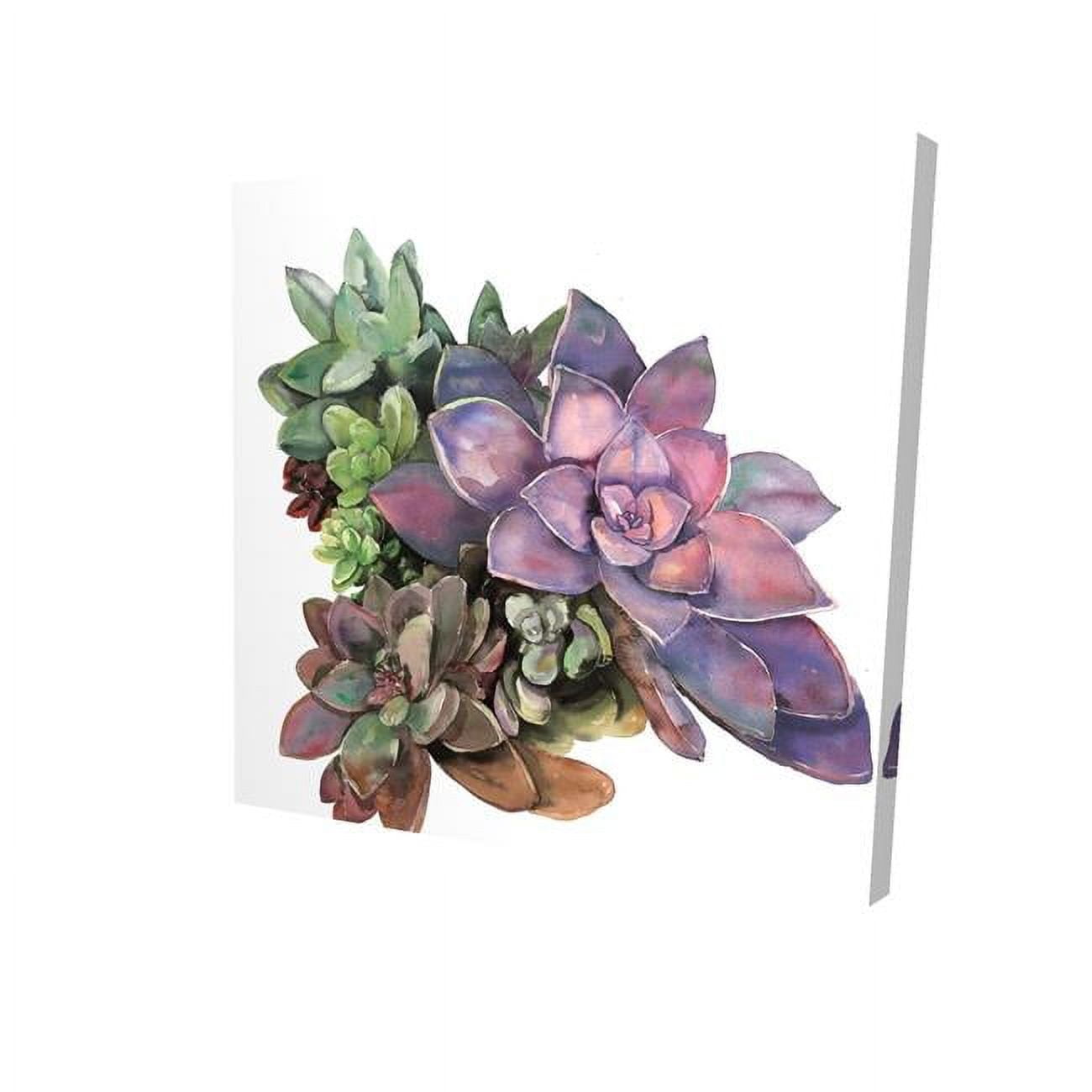 8 x 8 in. Succulent Plant-Print on Canvas