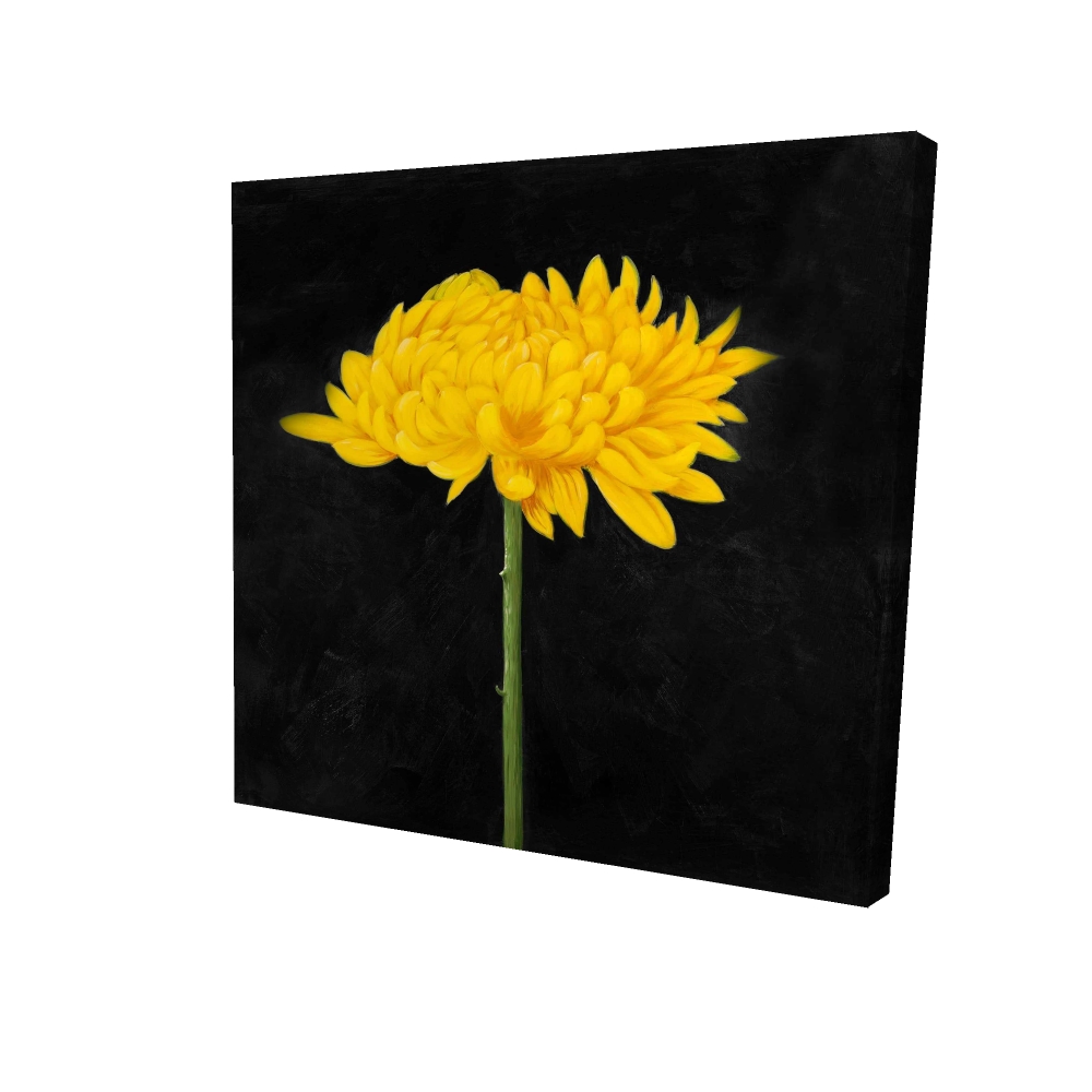 2080-2424-FL110 24 x 24 in. Chrysanthemum Rustic Botanical Canvas - Home Decor Wall Art