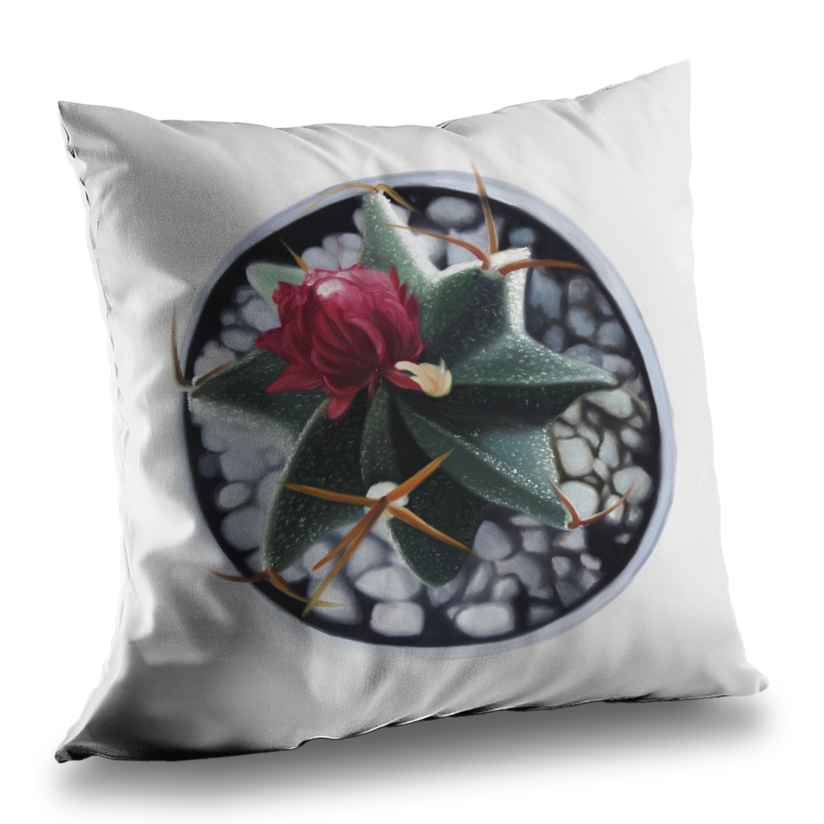C1PT14147UKGNU 14 x 14 in. Cactus in Pot - Botanical Livingroom Throw Pillow Insert