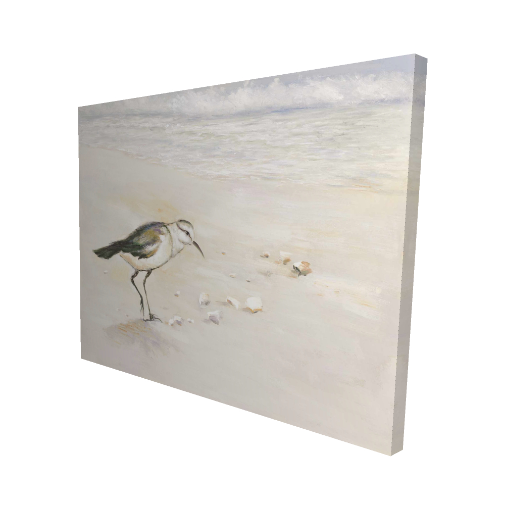 2080-4860-AN98 48 x 60 in. Semipalmated Sandpiper Canvas - Beach Bird Home Decor Art