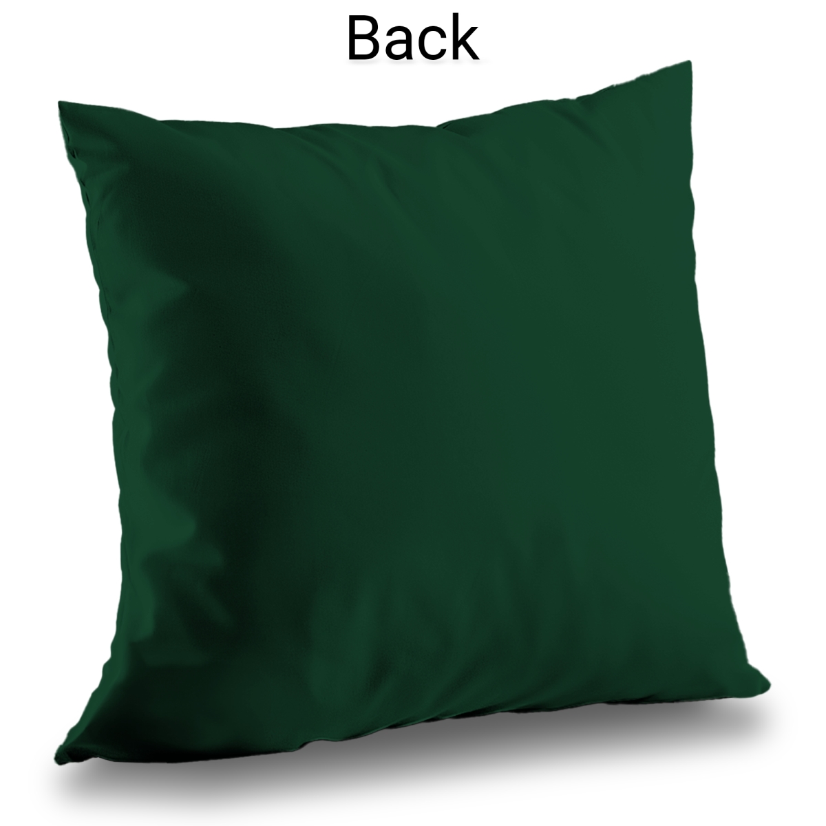 C1PT1414LFB33K 14 x 14 in. Several Exotic Plant Leaves - Poly Twill Throw Pillow Insert