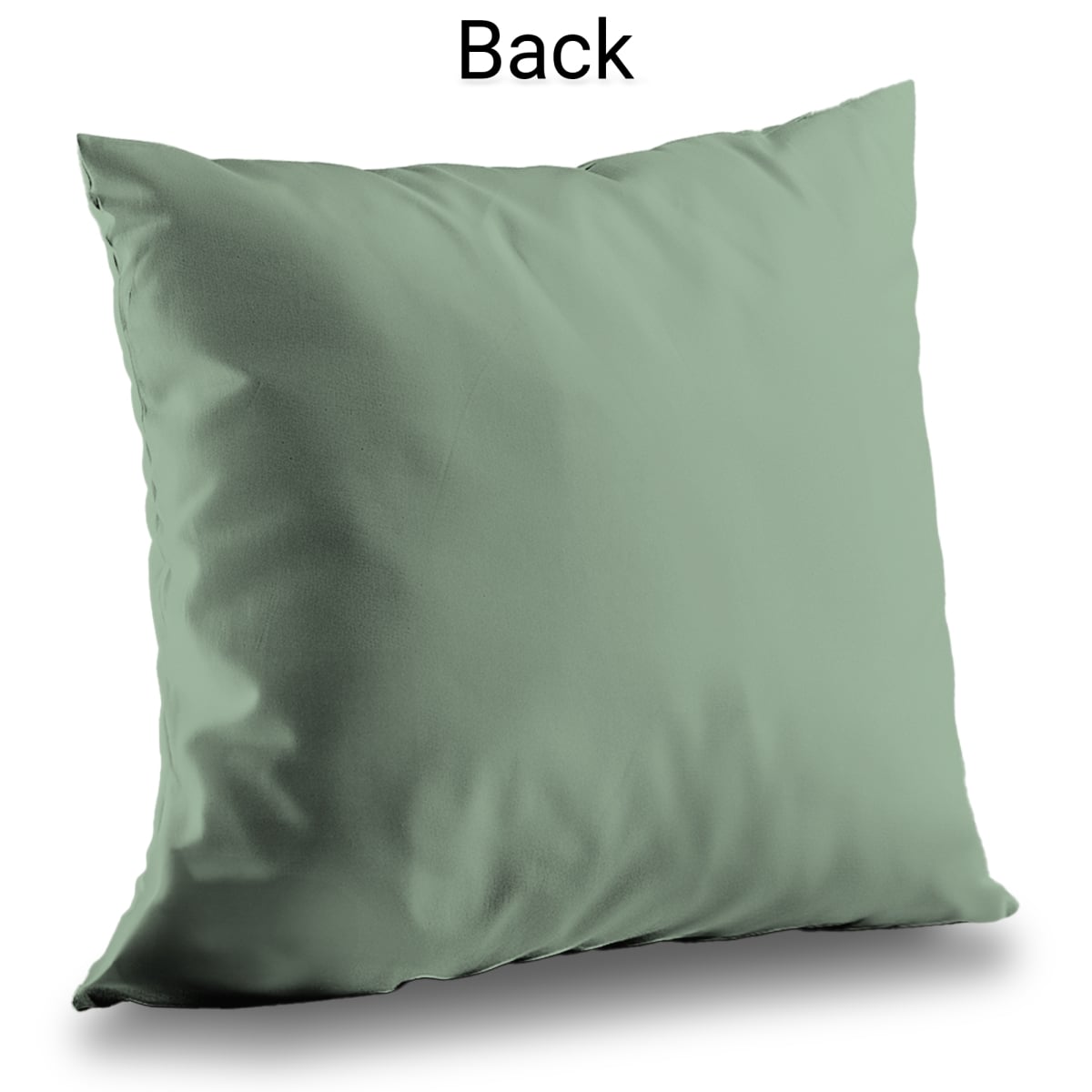 C1PT1414338UBS 14 x 14 in. Chameleon on the Lookout - Green Illustrative Throw Pillow