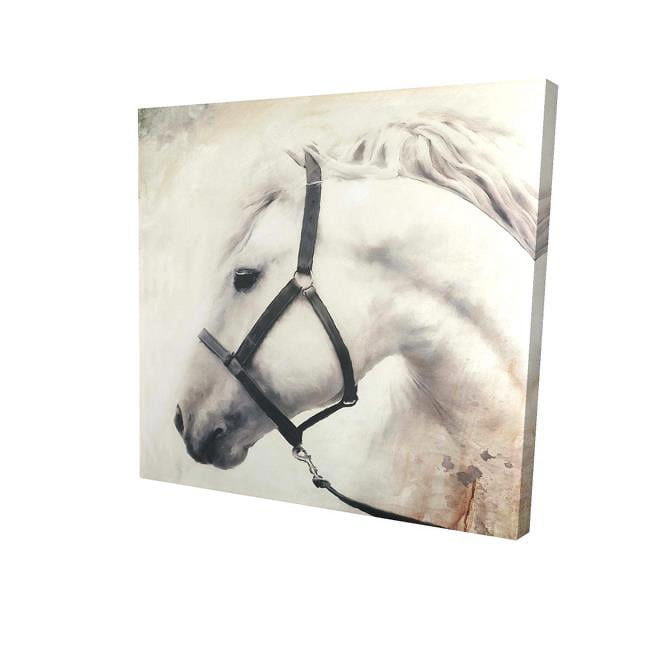 16 x 16 in. Darius The White Horse-Print on Canvas