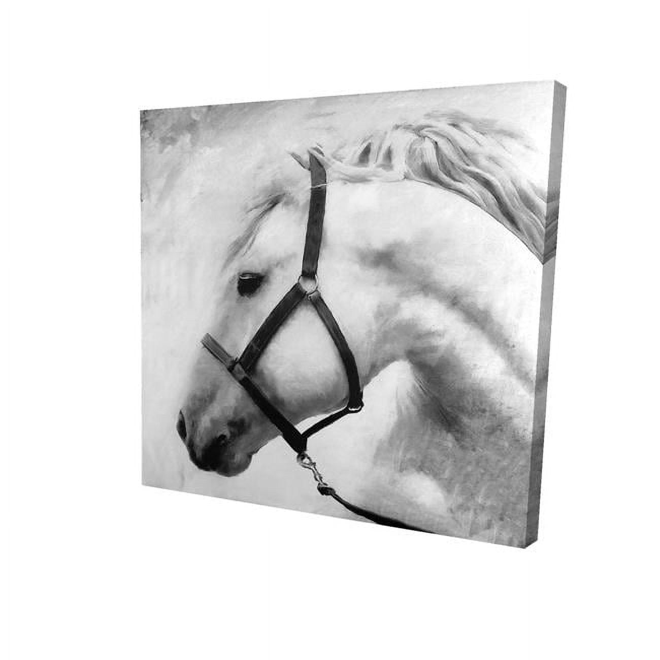 16 x 16 in. Darius The Horse-Print on Canvas