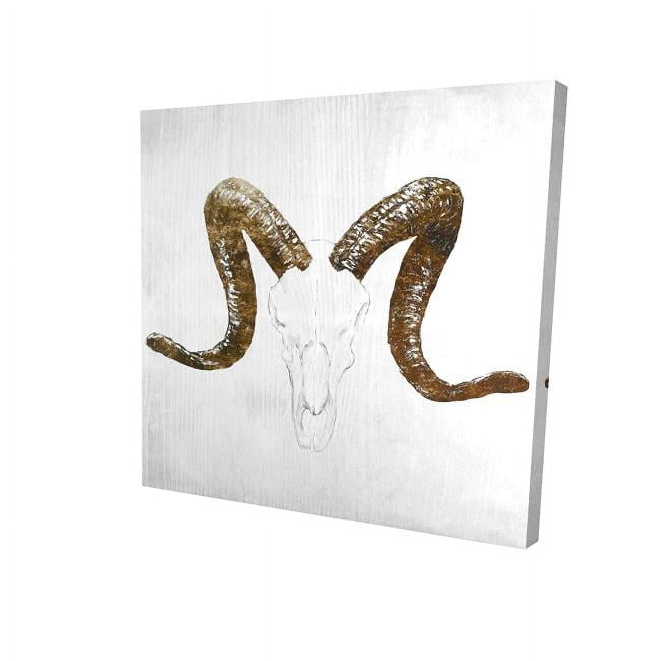 16 x 16 in. Aeries Skull with Brown Horns-Print on Canvas