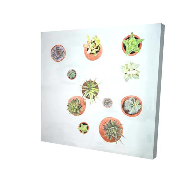 16 x 16 in. Cactus Plants-Print on Canvas