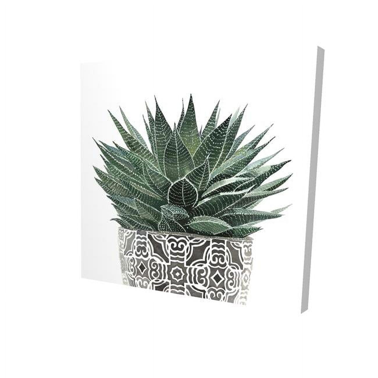 16 x 16 in. Zebra Plant Succulent-Print on Canvas