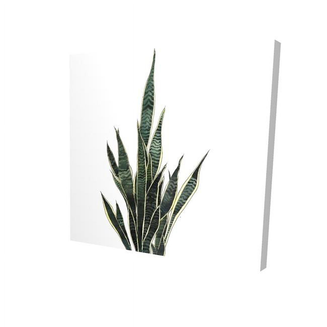 16 x 16 in. Snake Plant-Print on Canvas