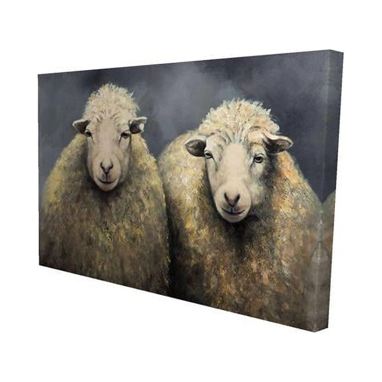 20 x 30 in. Wool Sheeps-Print on Canvas