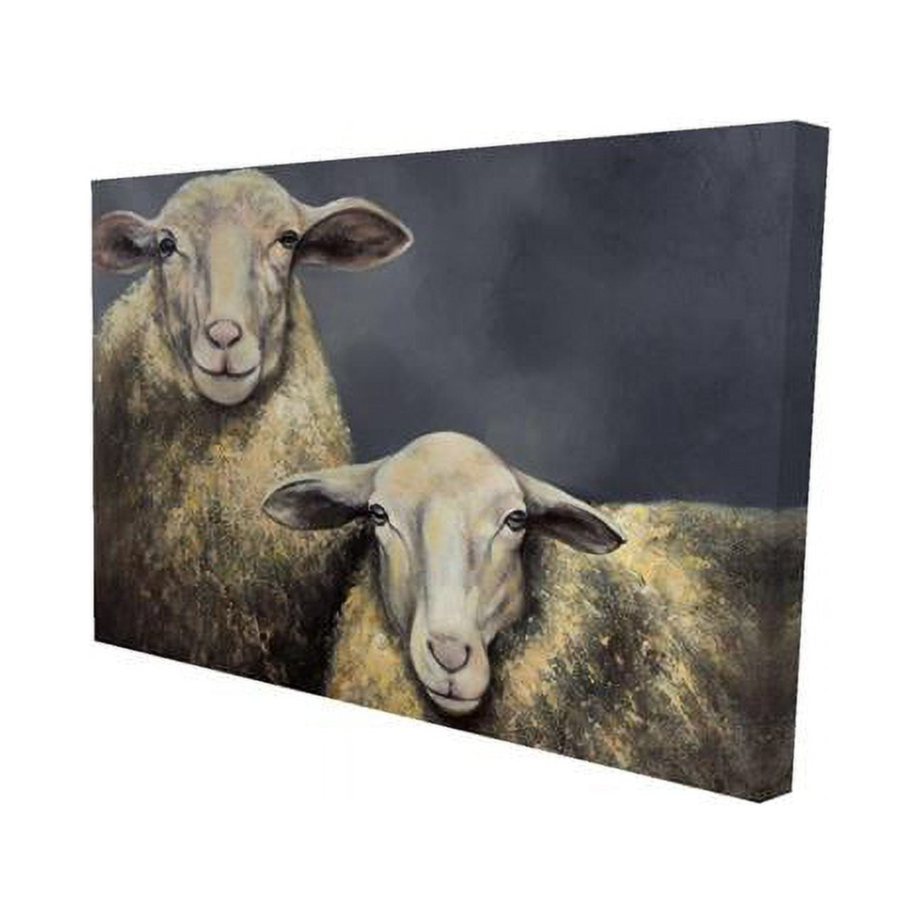 20 x 30 in. Two Sheeps-Print on Canvas