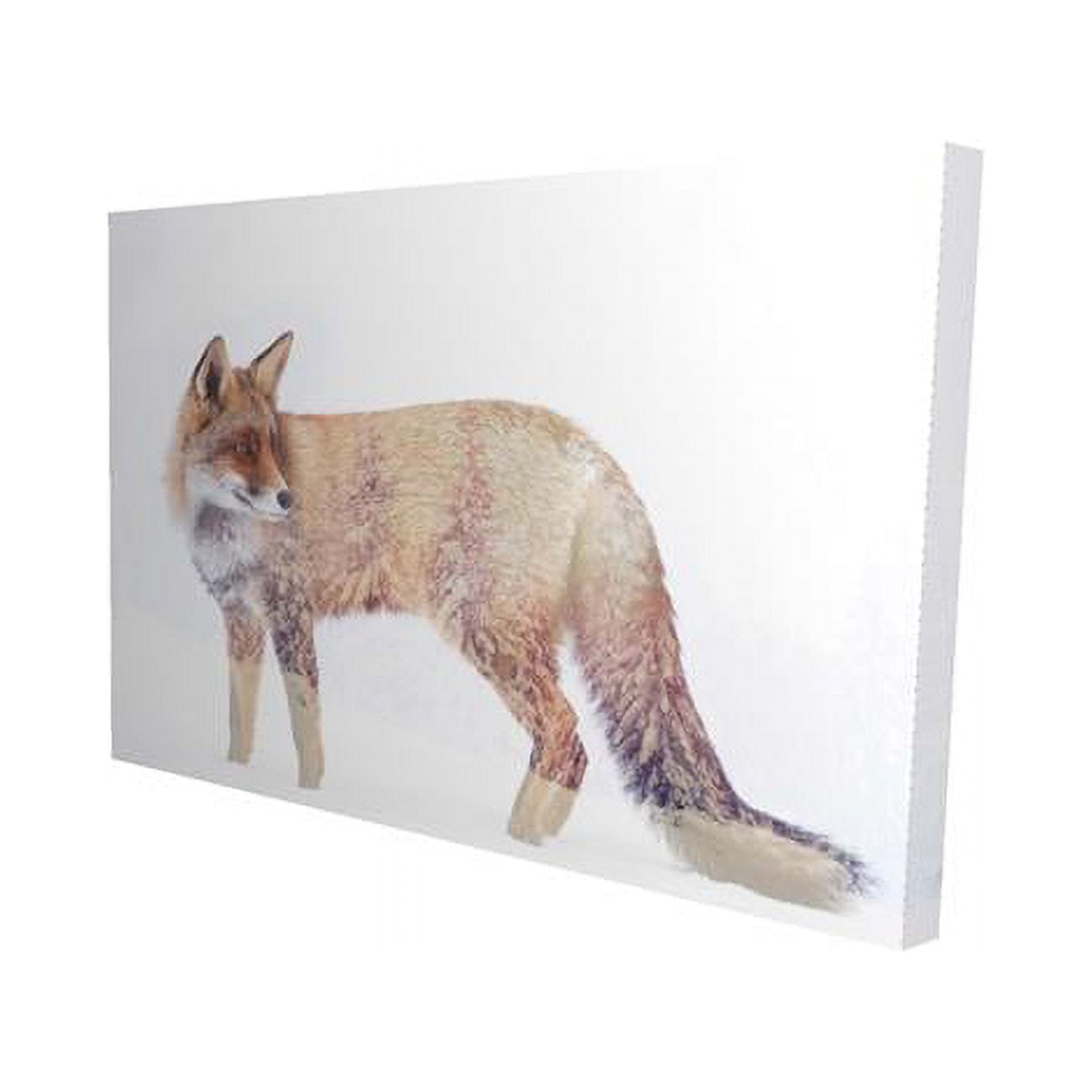 20 x 30 in. Forest & Fox-Print on Canvas