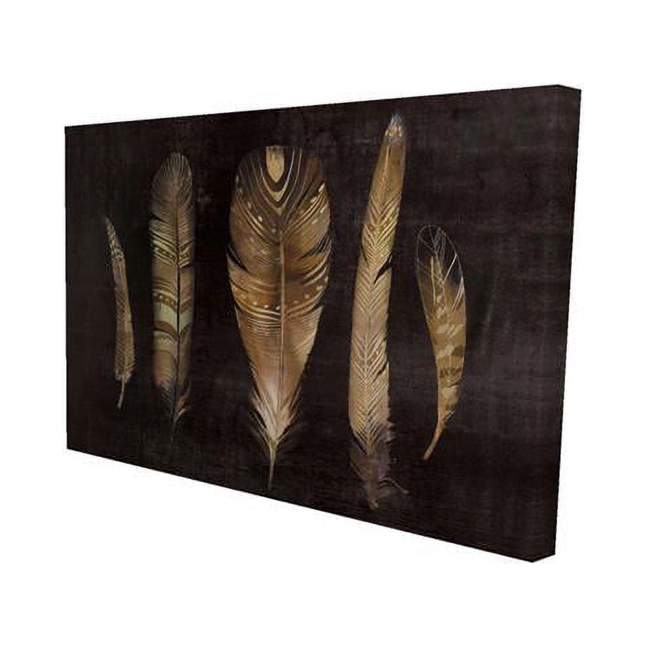20 x 30 in. Brown Feather Set-Print on Canvas