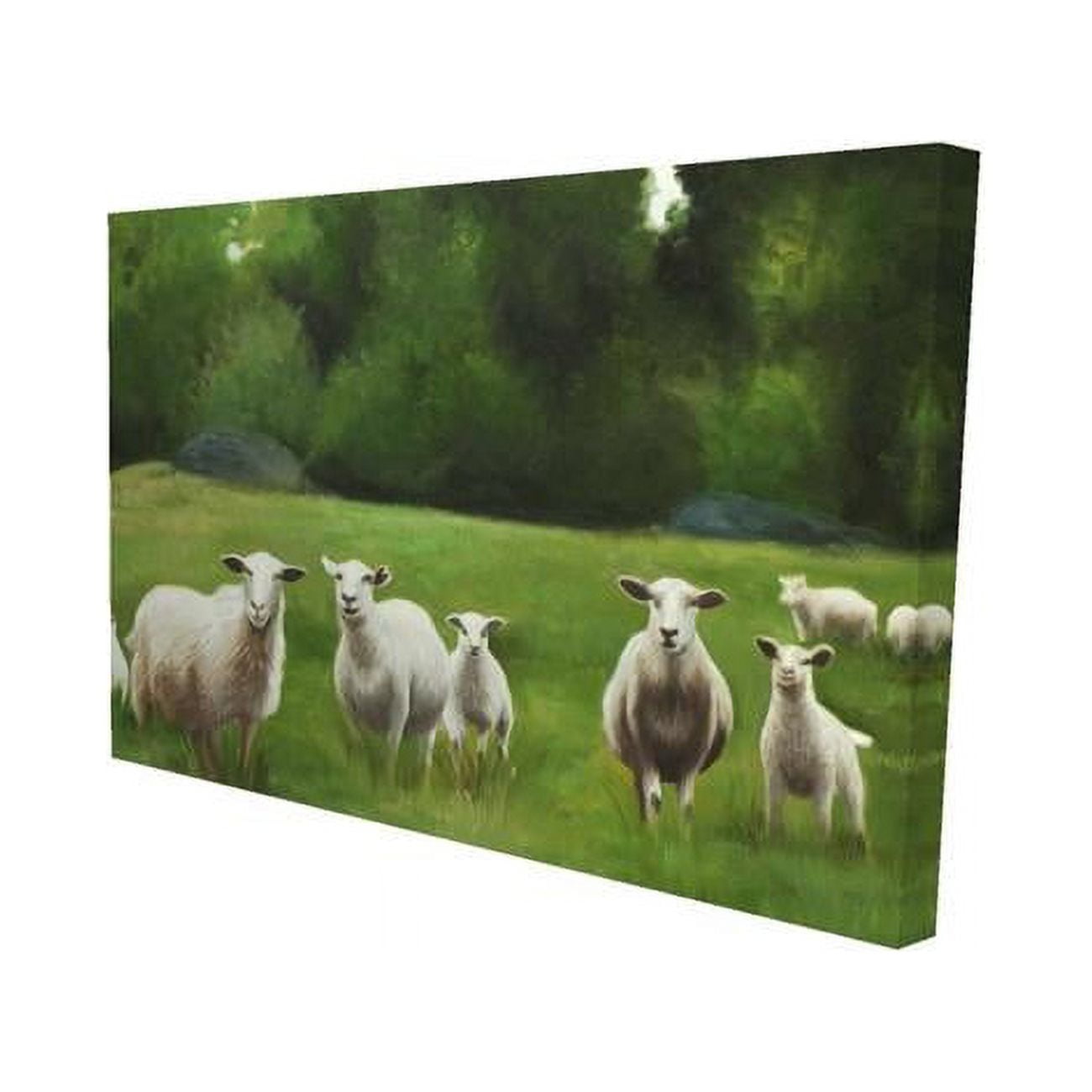 20 x 30 in. Fields of Sheep-Print on Canvas