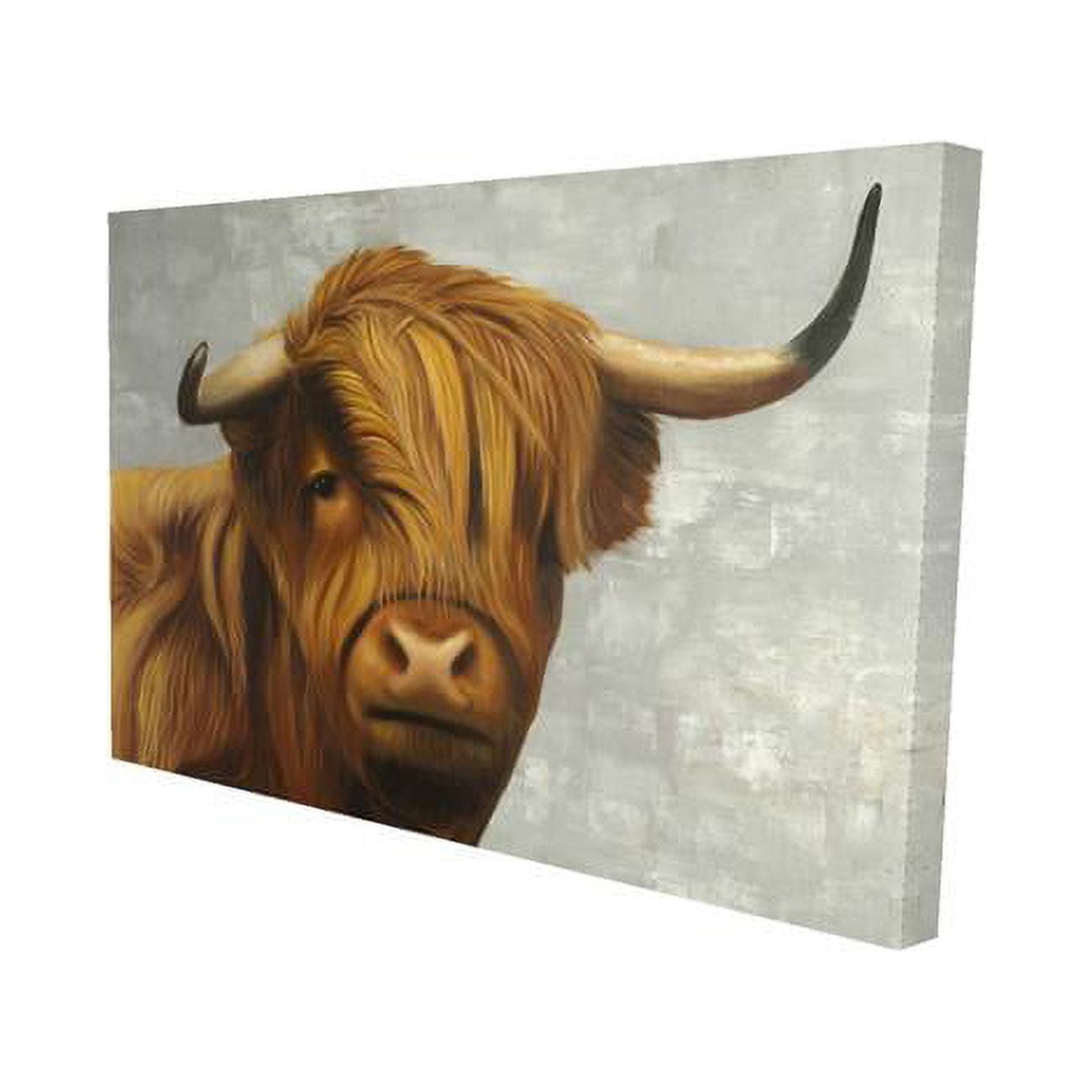 20 x 30 in. Highland Cattle-Print on Canvas