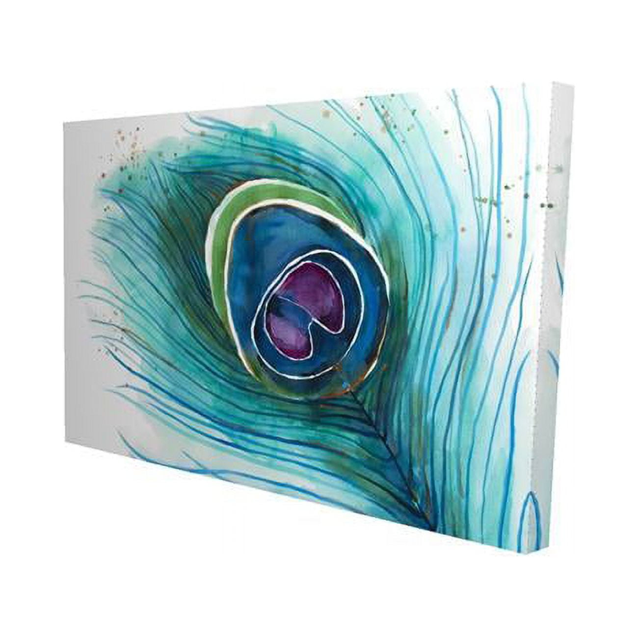 20 x 30 in. Peacock Feather Closeup-Print on Canvas