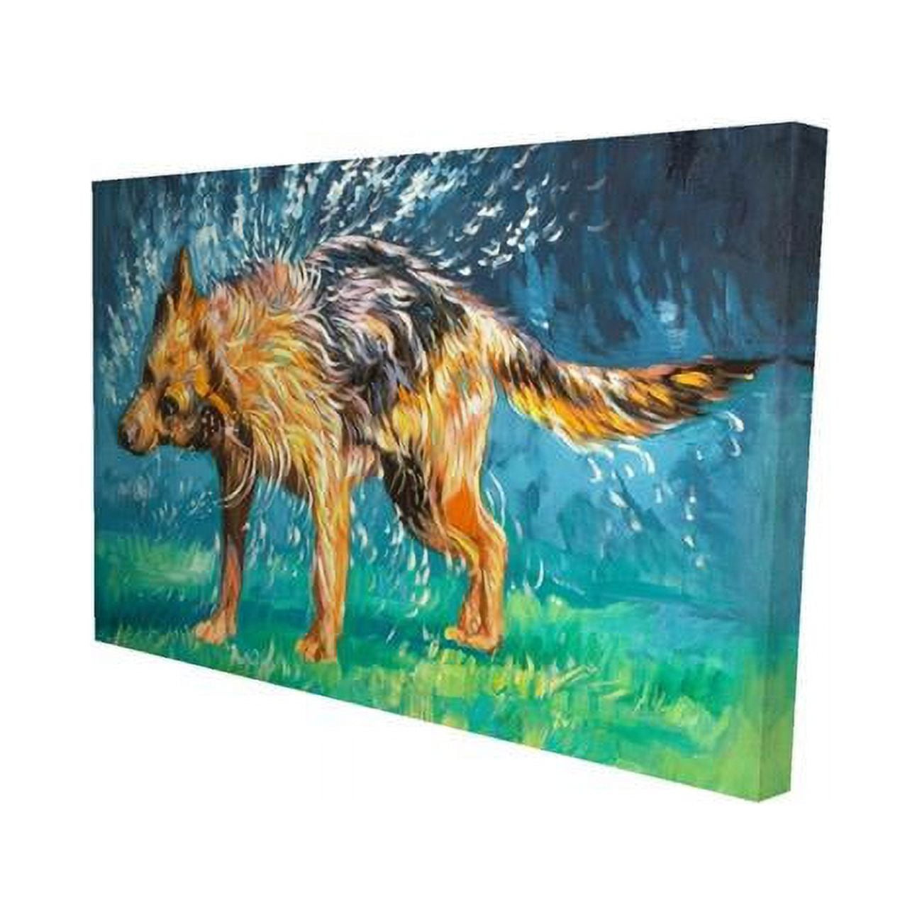 20 x 30 in. Spin-Dry Wet German Shepherd-Print on Canvas