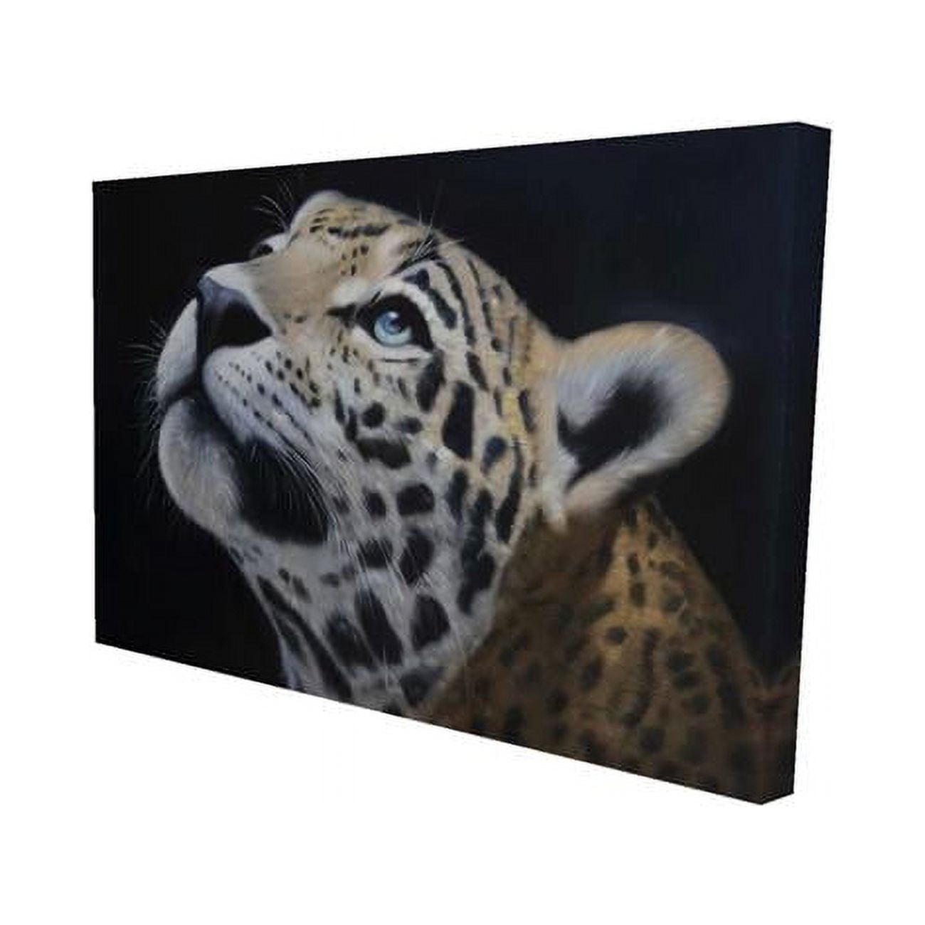20 x 30 in. Realistic Leopard Face-Print on Canvas