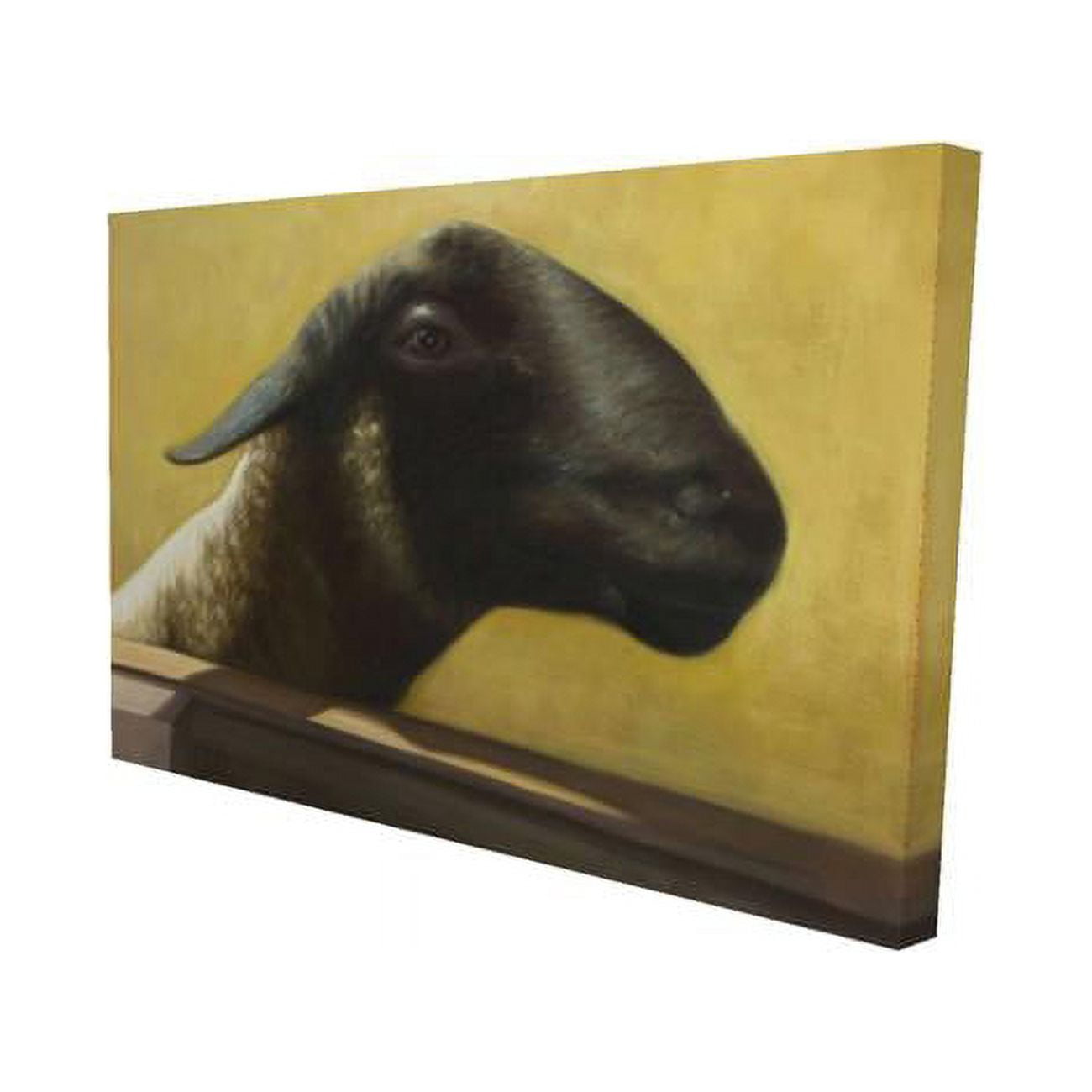 20 x 30 in. Young Ram-Print on Canvas