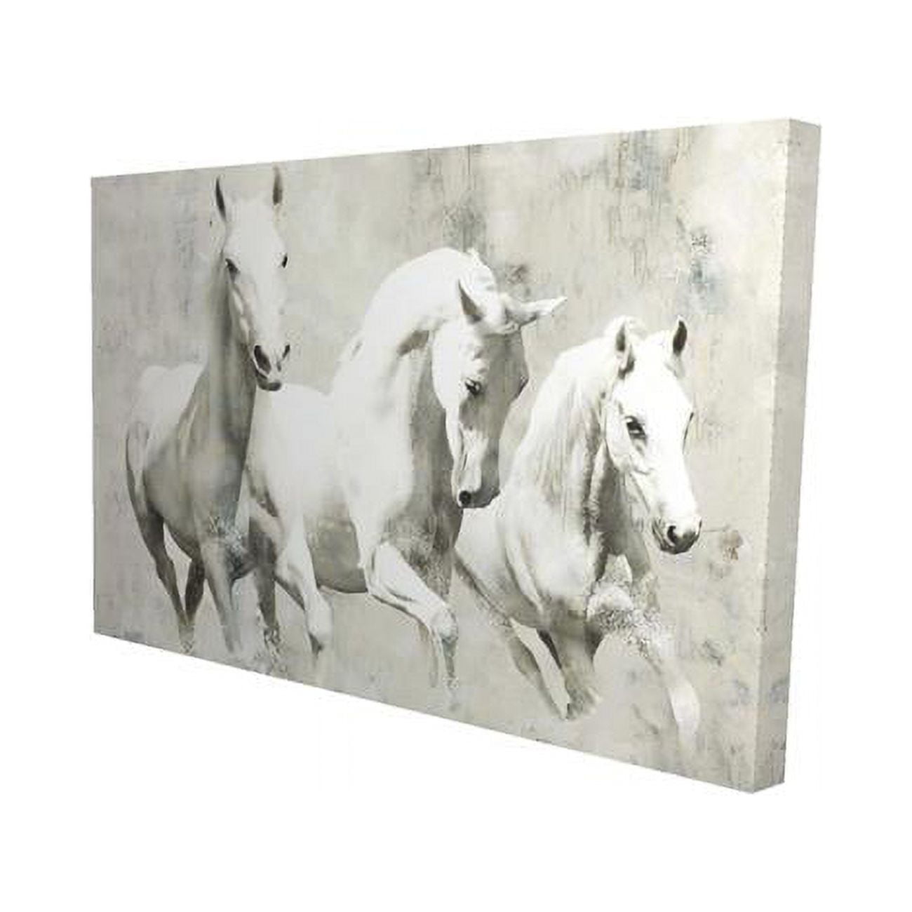 20 x 30 in. Three White Horses Running-Print on Canvas