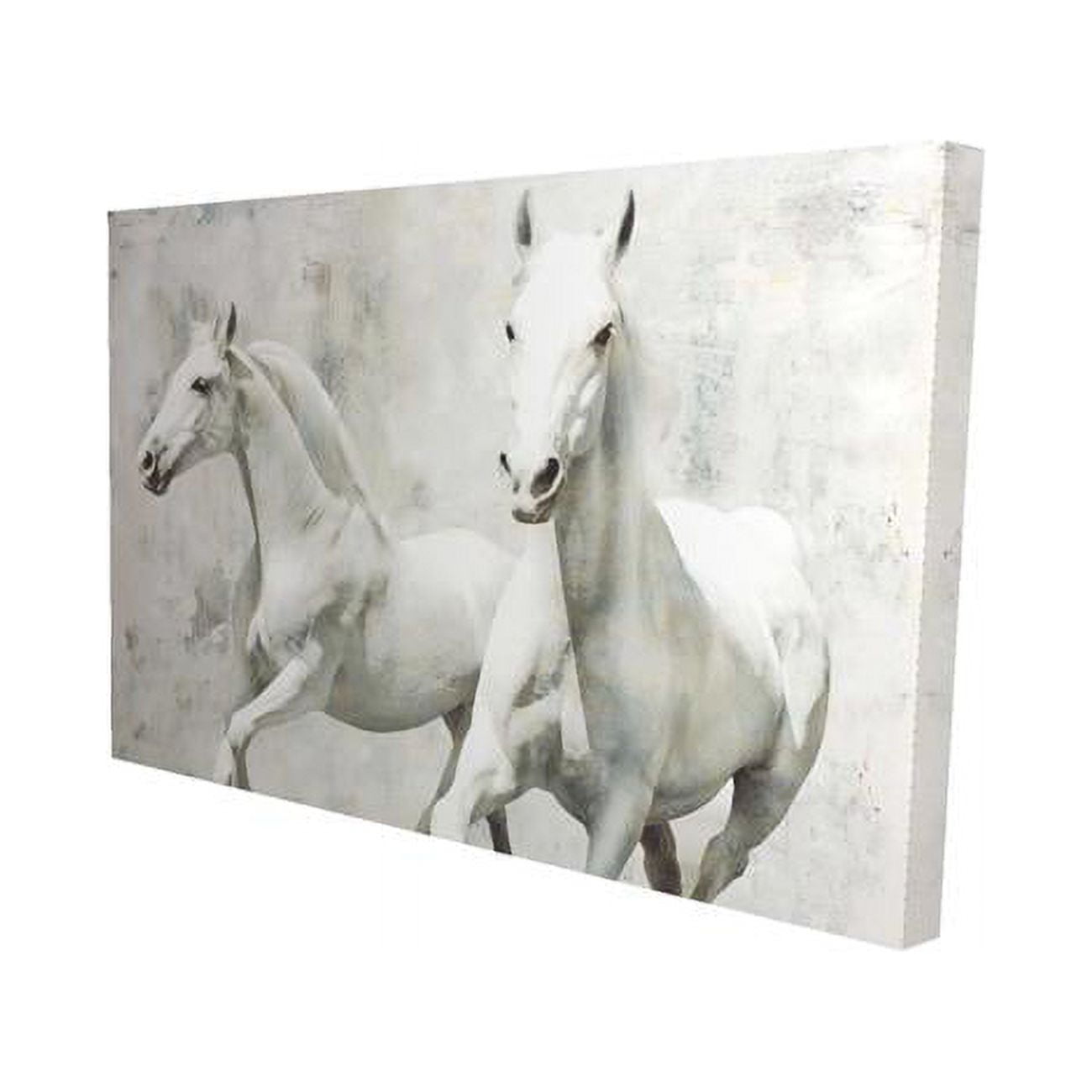 20 x 30 in. Two White Horse Running-Print on Canvas