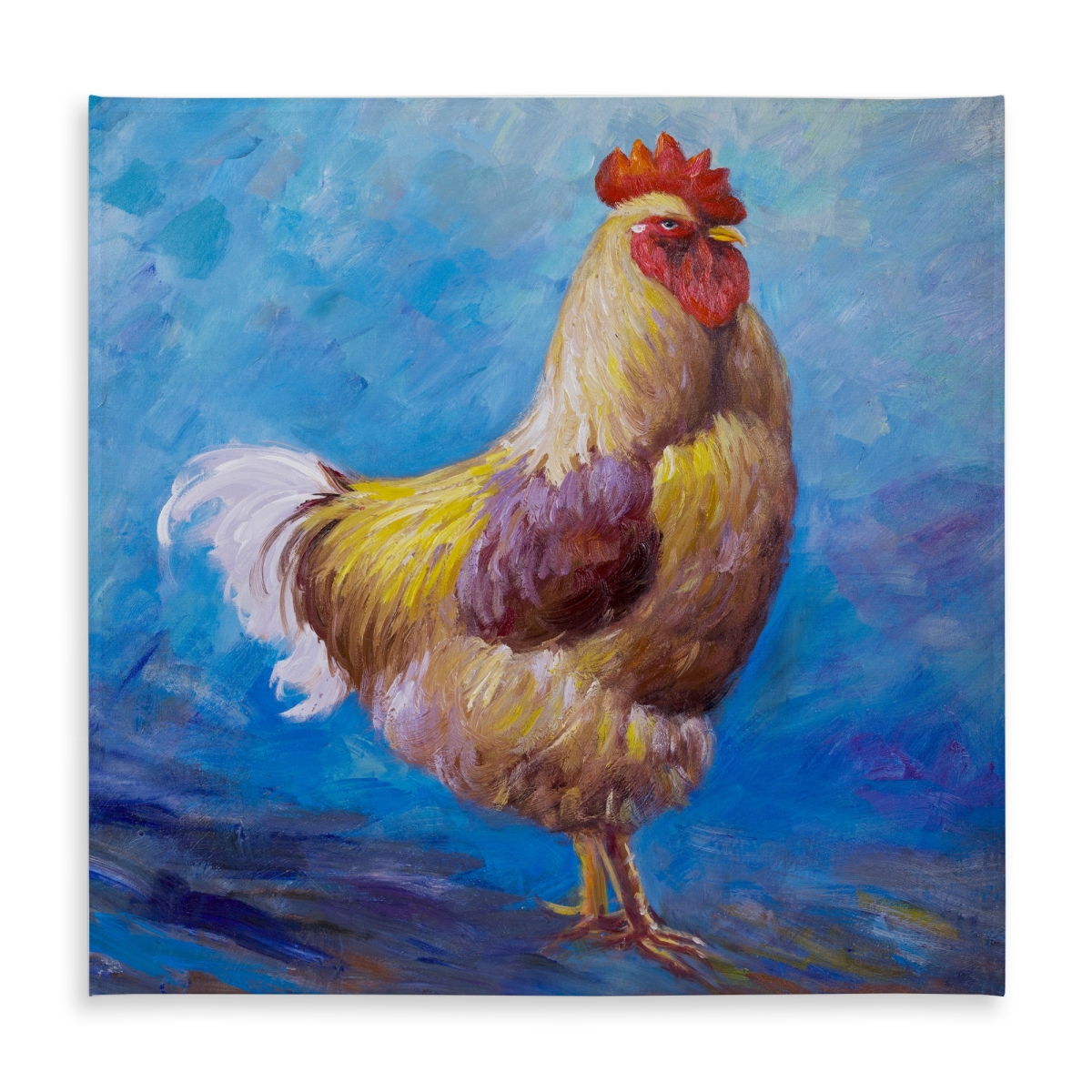 Picture of Begin Home Decor C1TC5858DLUVJ9 58 x 58 in. Beautiful Rooster Tablecloth - Blue Animals - Indoor & Outdoor