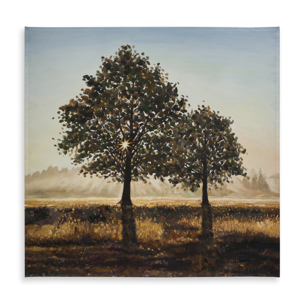 Picture of Begin Home Decor C1TC58584K1N3K 58 x 58 in. Rustic Brown Trees Tablecloth - Indoor & Outdoor Home Decor