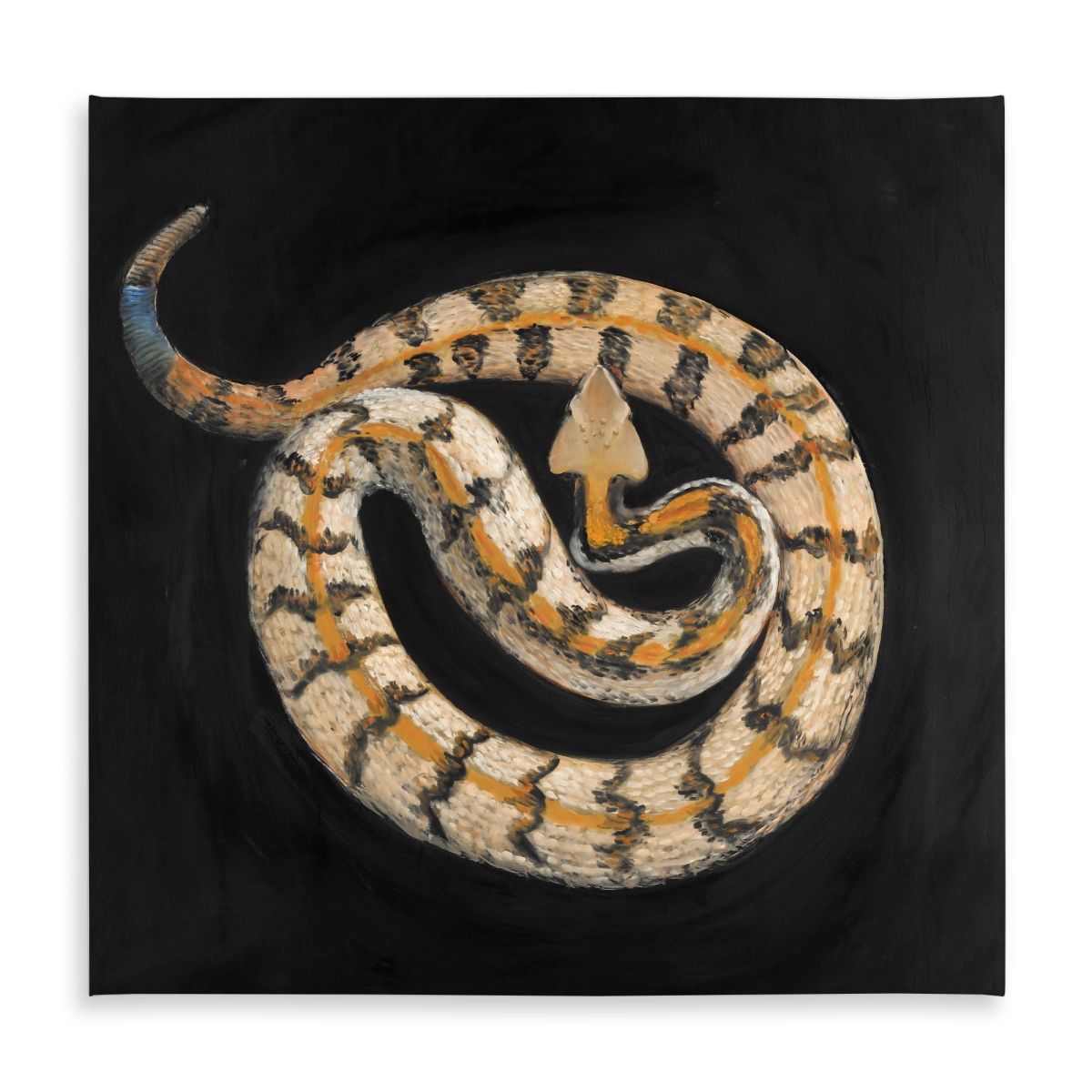 Picture of Begin Home Decor C1TC5858NVYMFA 58 x 58 in. Exotic Southern Timber Rattlesnake Tablecloth - Indoor & Outdoor