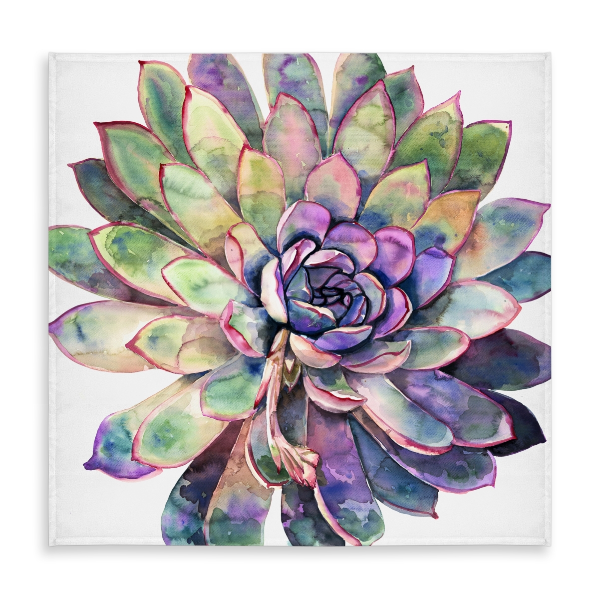 Picture of Begin Home Decor C1TC585847QOI3 58 x 58 in. Multi Colored Succulent Tablecloth - Indoor & Outdoor Home Decor