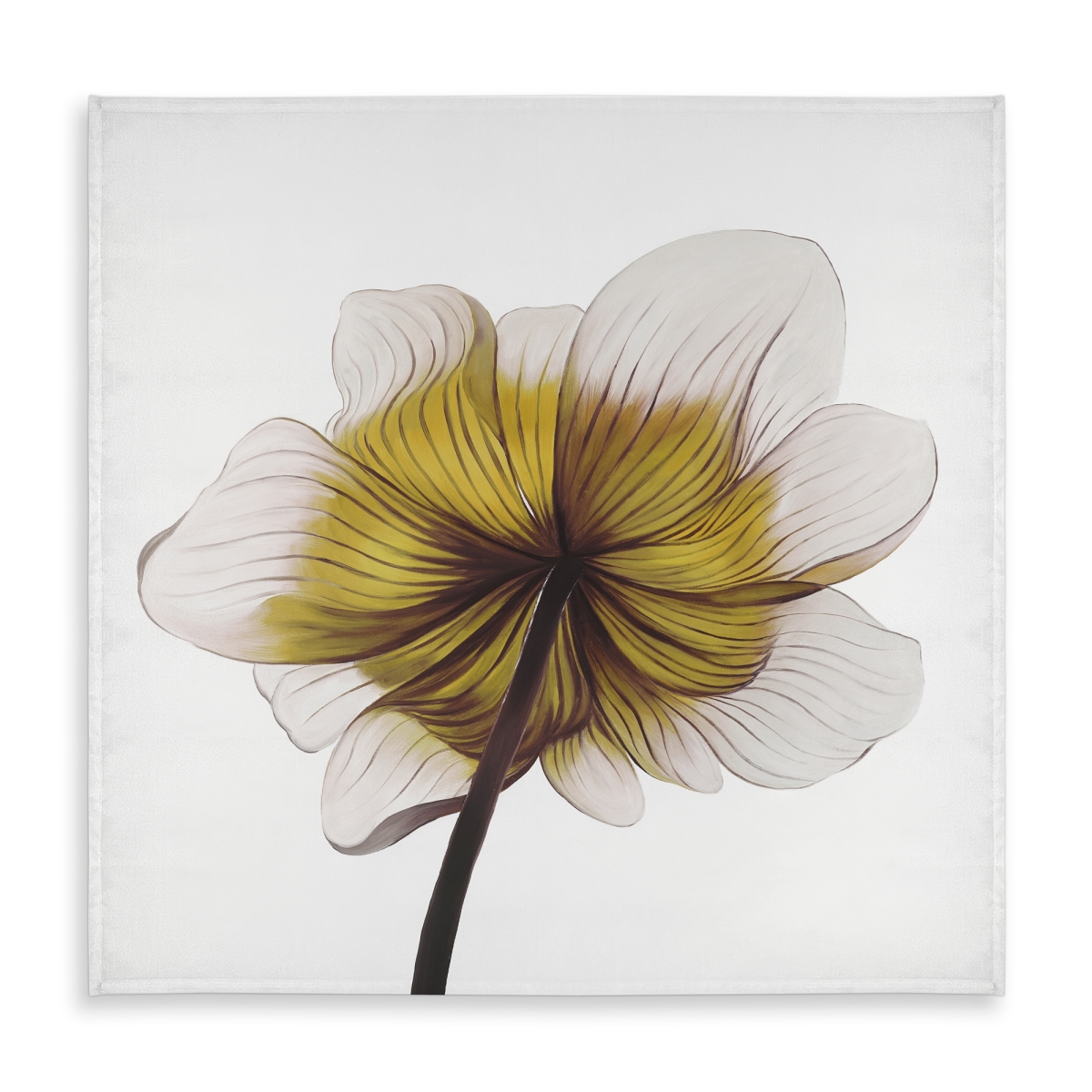 Picture of Begin Home Decor C1TC5858BHADBR 58 x 58 in. Beautiful Anemone Yellow Flower Tablecloth - Indoor & Outdoor Decor