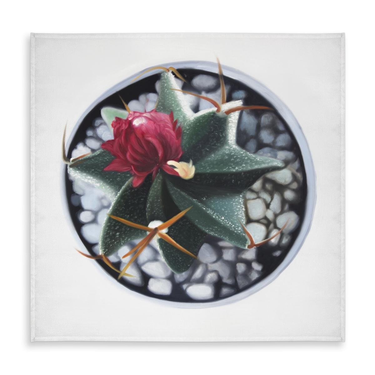 Picture of Begin Home Decor C1TC5858SLRNBW 58 x 58 in. Cactus in Pot Tablecloth - Botanical Scandinavian Decor