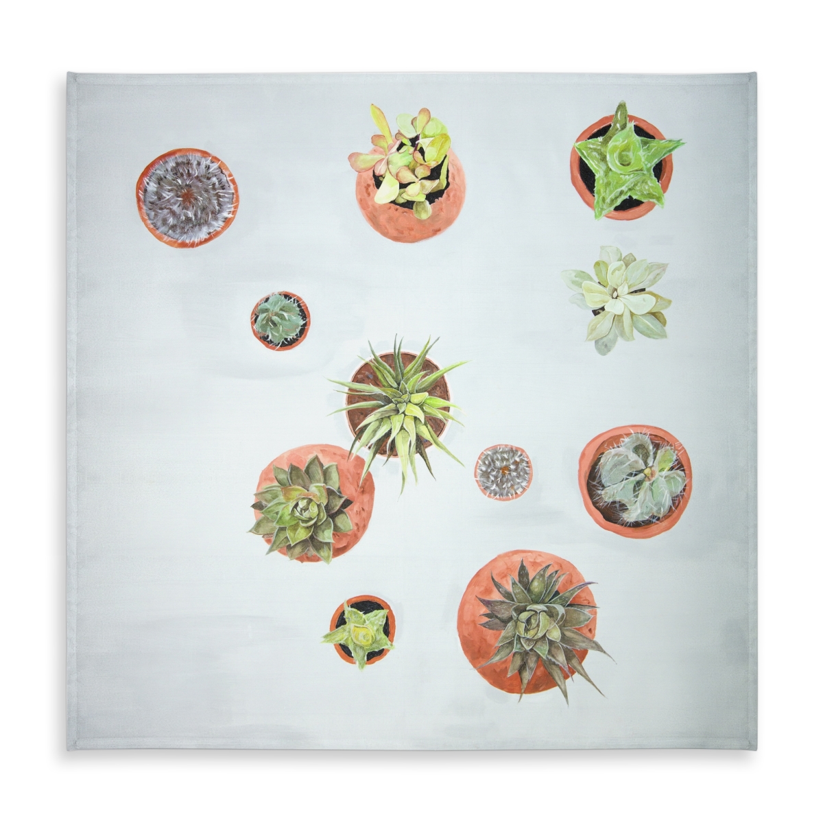 Picture of Begin Home Decor C1TC58589BSUF0 58 x 58 in. Cactus Plants Tablecloth - Exotic Floral Botanical Decor