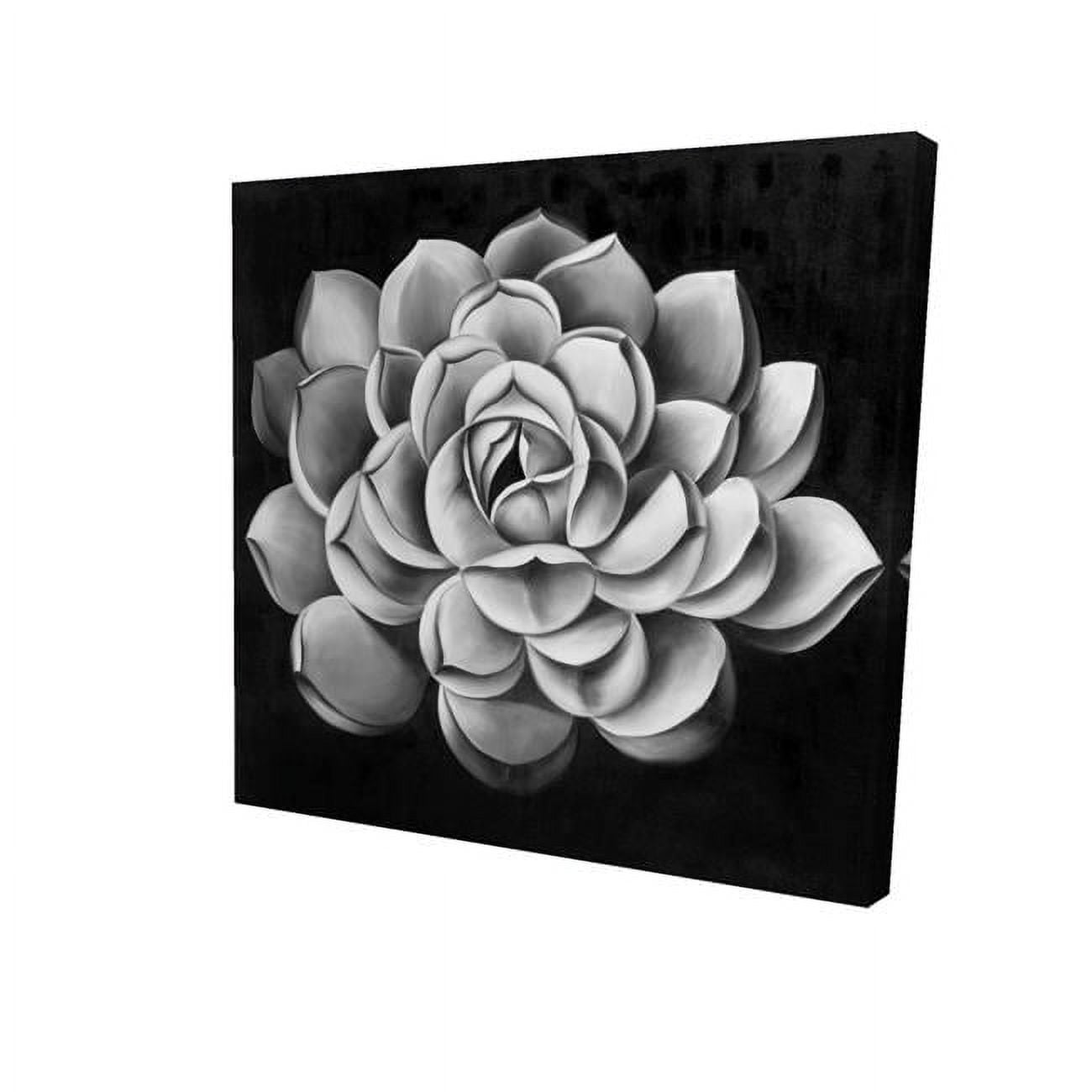 12 x 12 in. Black & White Succulent-Print on Canvas
