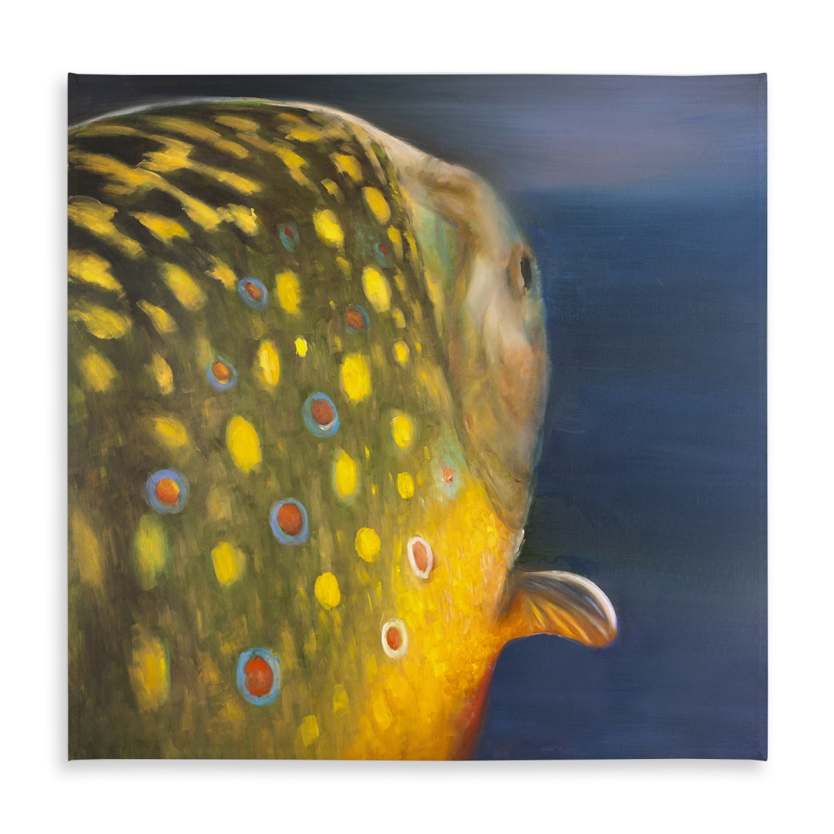 Picture of Begin Home Decor C1TC5858L0TFLX 58 x 58 in. Rustic Golden Trout Fish Blue Tablecloth - Indoor & Outdoor Decor