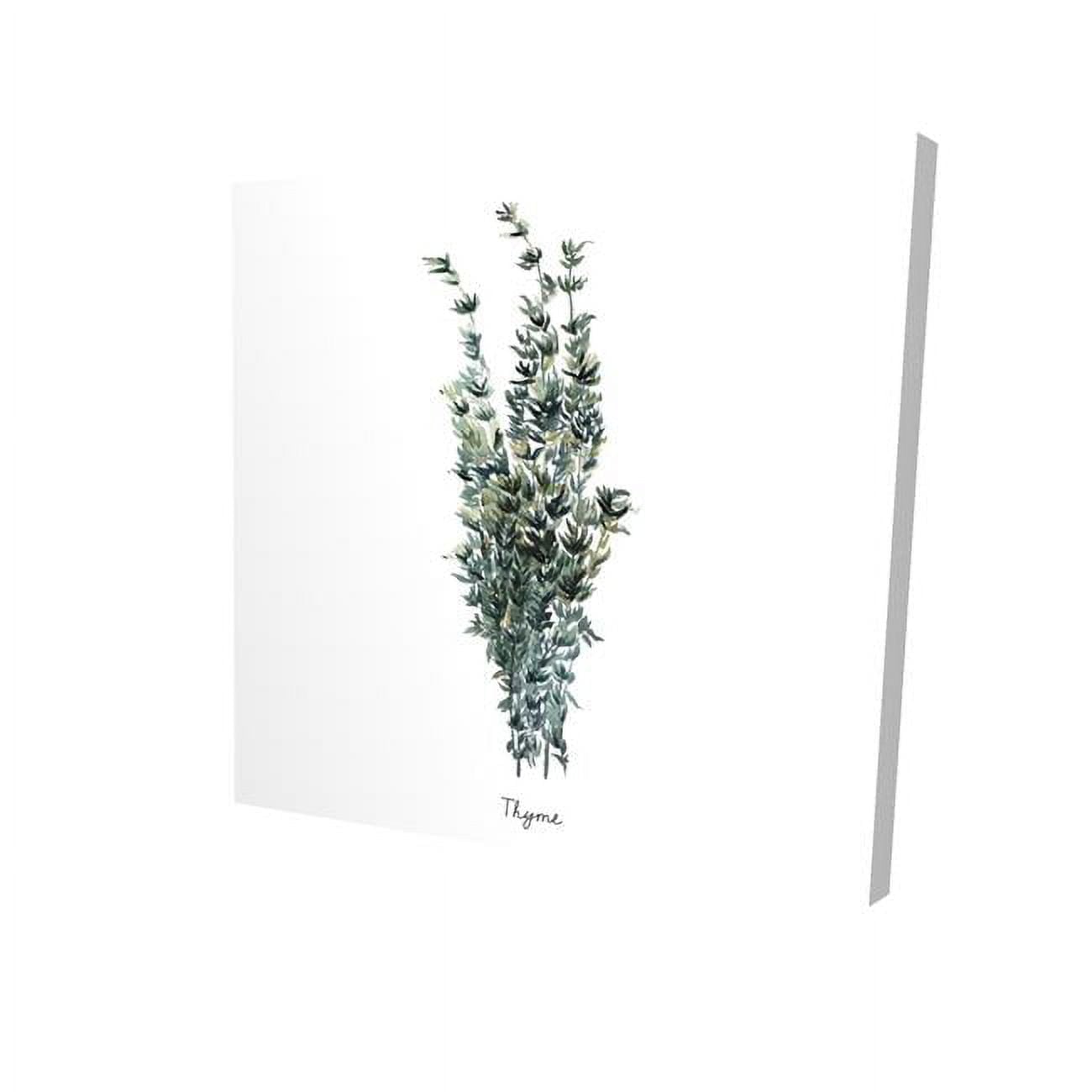 12 x 12 in. Thyme Leaves Bundle-En-Print on Canvas