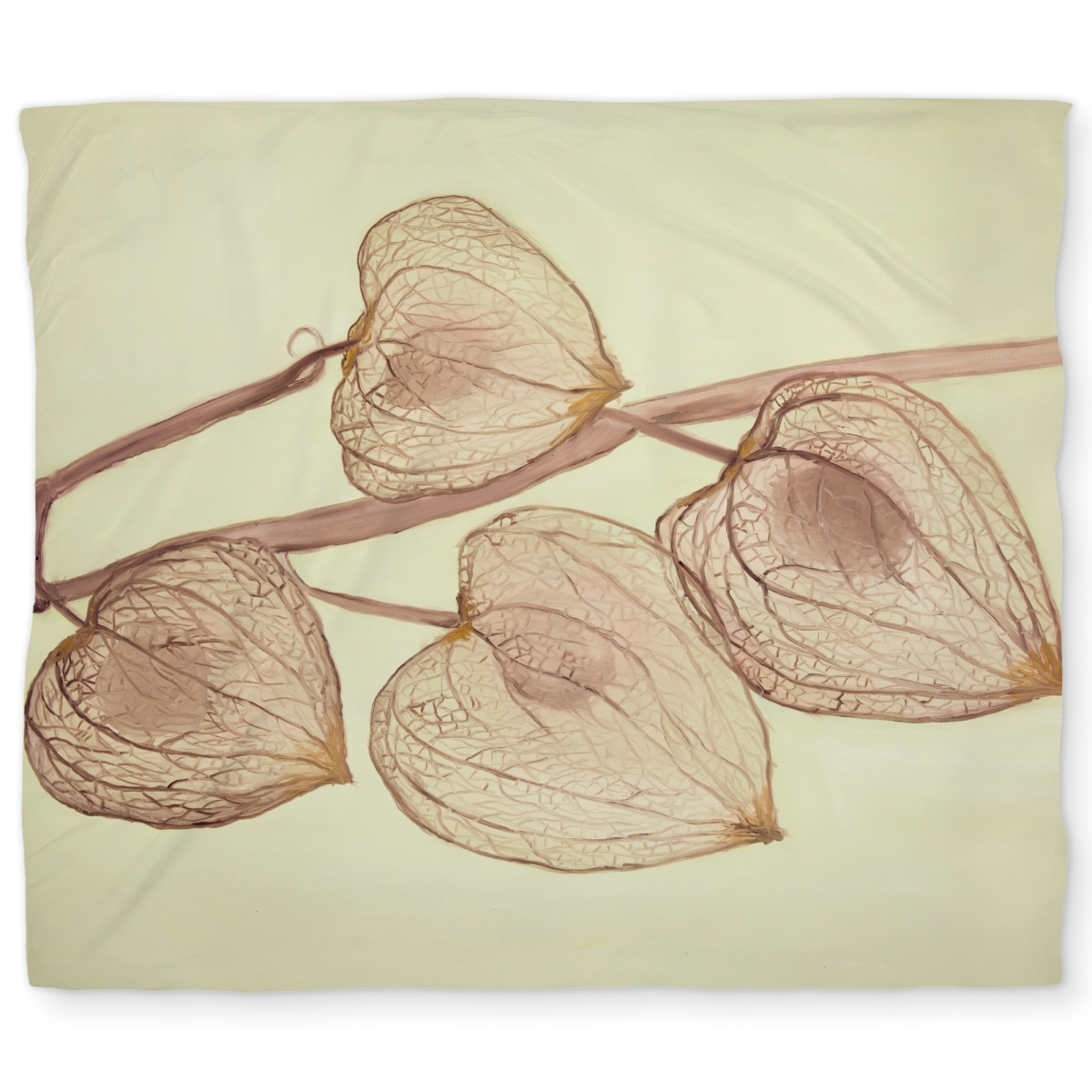 C1DCKSW0ULED43 Growing Ground Cherries King Size Duvet Cover - Rustic White Decor