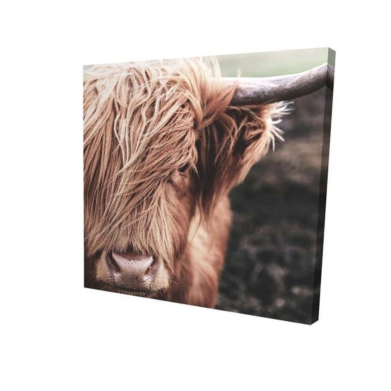 12 x 12 in. Desaturated Highland Cow-Print on Canvas