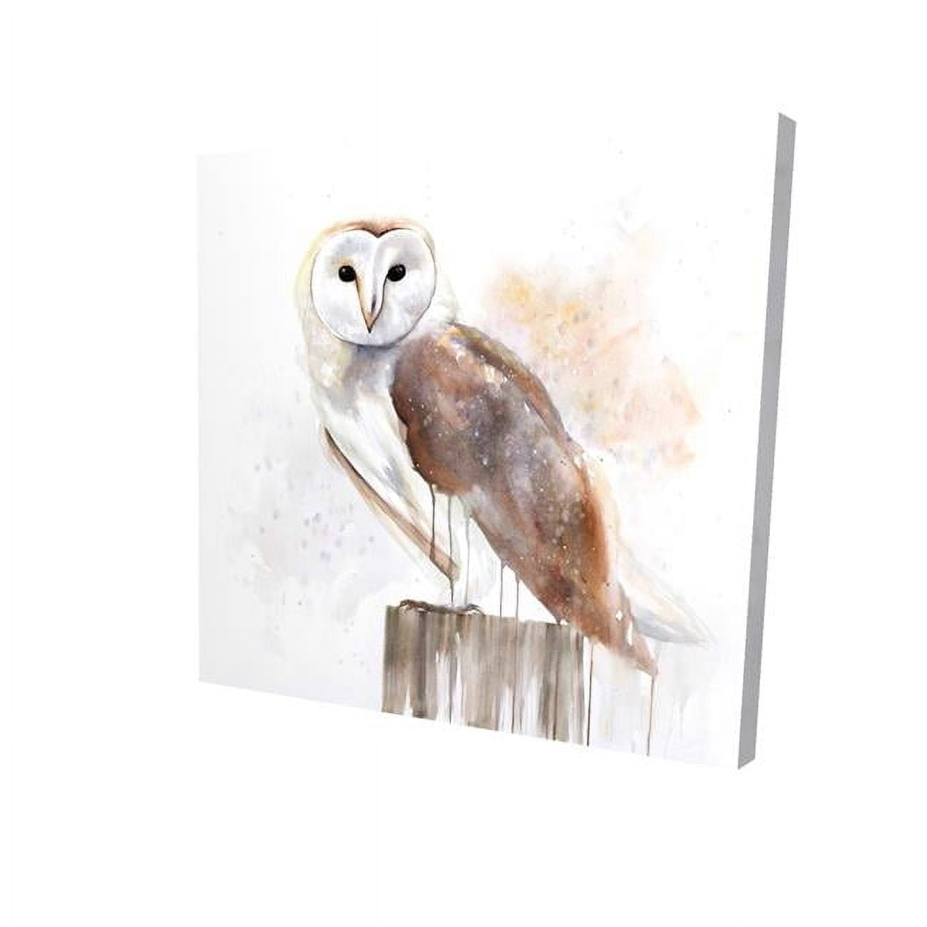 16 x 16 in. Barn Owl-Print on Canvas