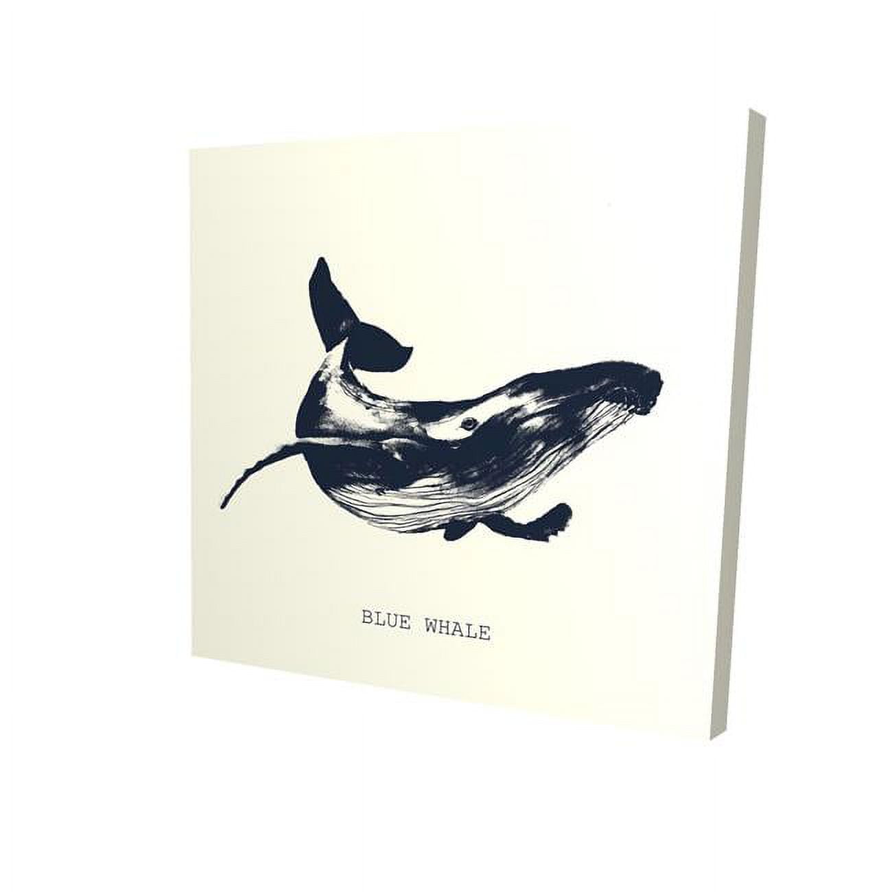16 x 16 in. Blue Whale Sketch-Print on Canvas