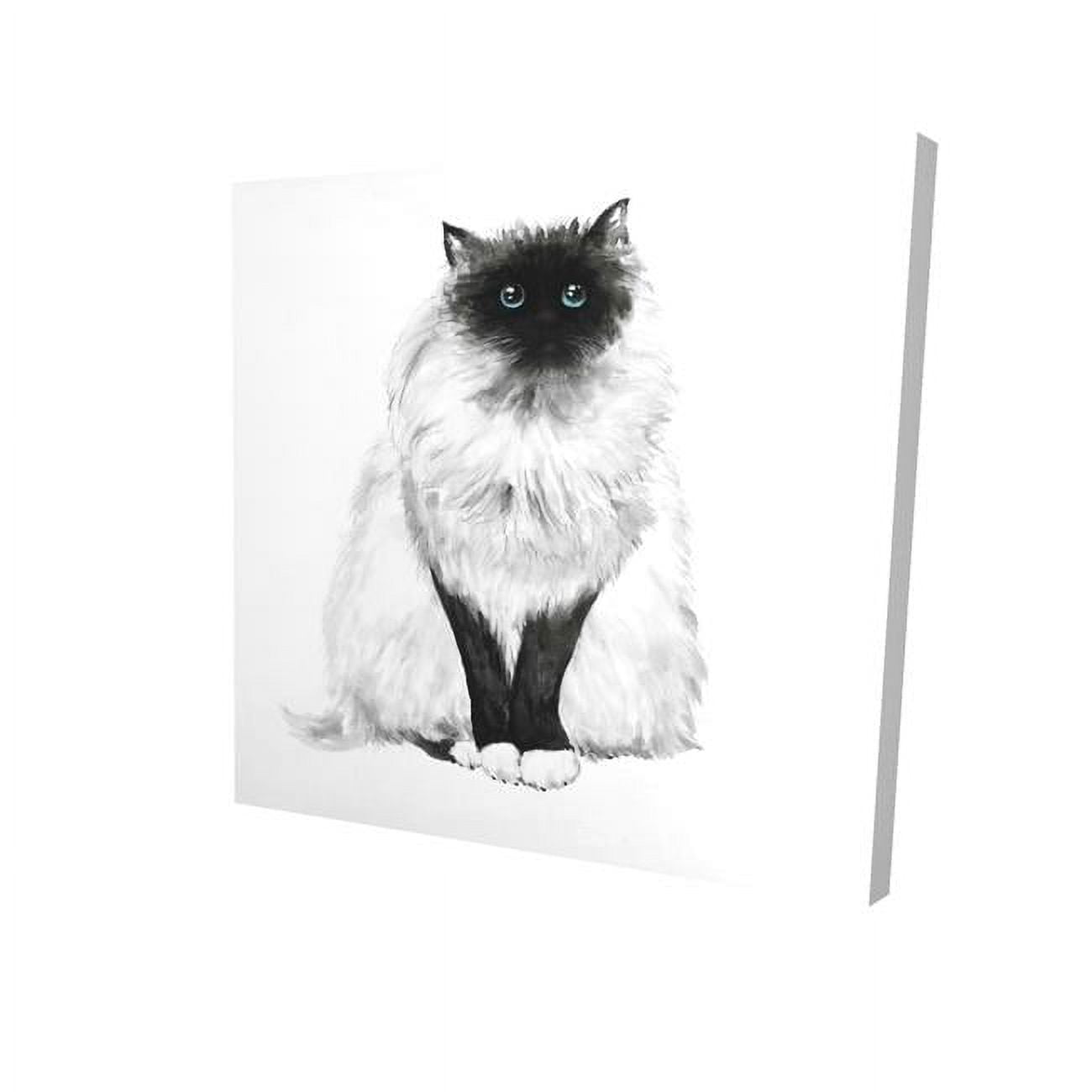 16 x 16 in. Blue Eyes Fluffy Siamese Cat-Print on Canvas